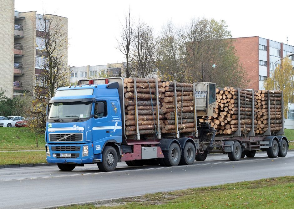 Kas gaudys skiedrų naudą?