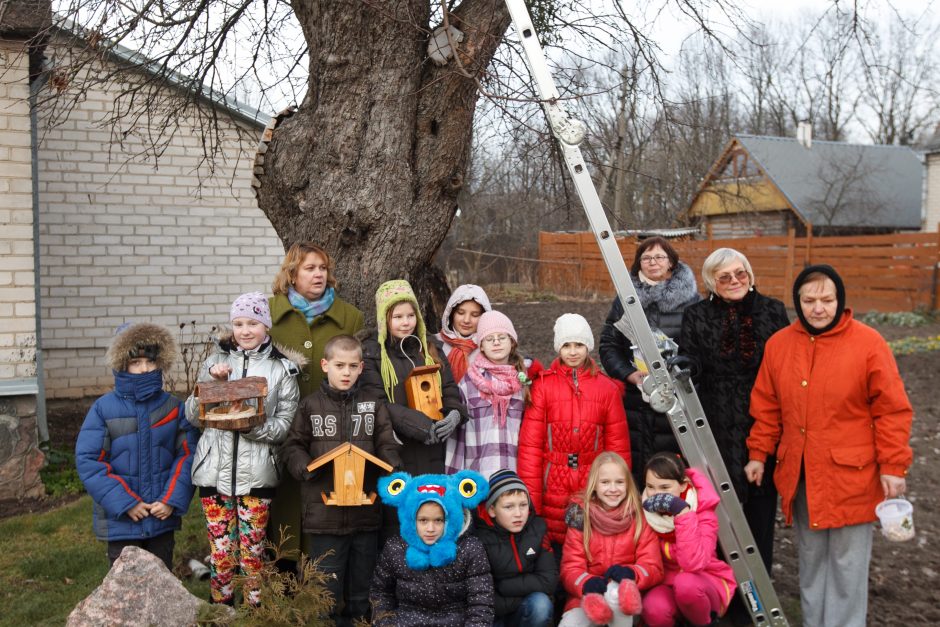 Obelis prieš Kalėdas sulaukė dovanų