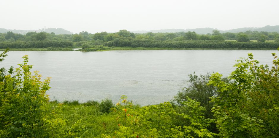 Nemuno ir Nevėžio santakos draustinio laukia permainos