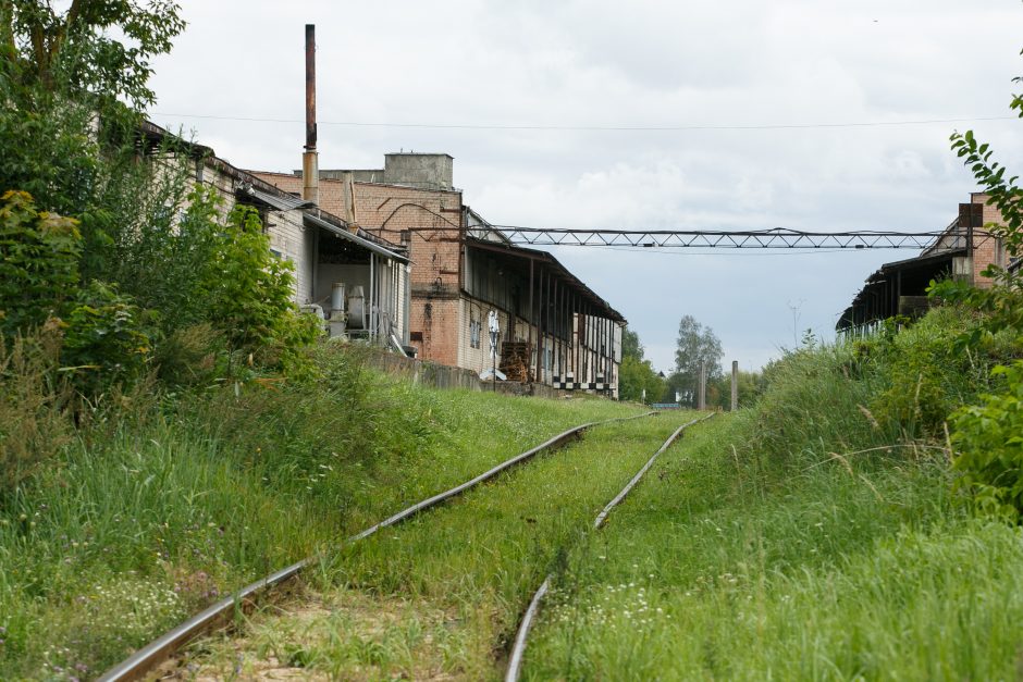 V. Romanovo turtas slysta į EBSW palikuonių rankas?