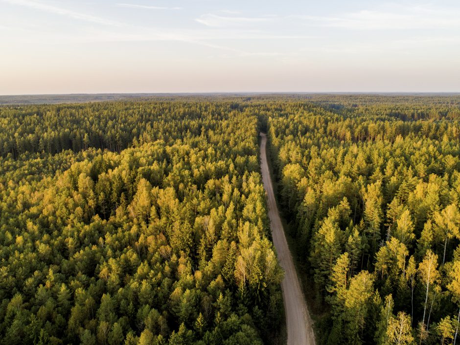 Visuomenininkai įkūrė „Sengirės“ fondą apsaugoti senąsias girias