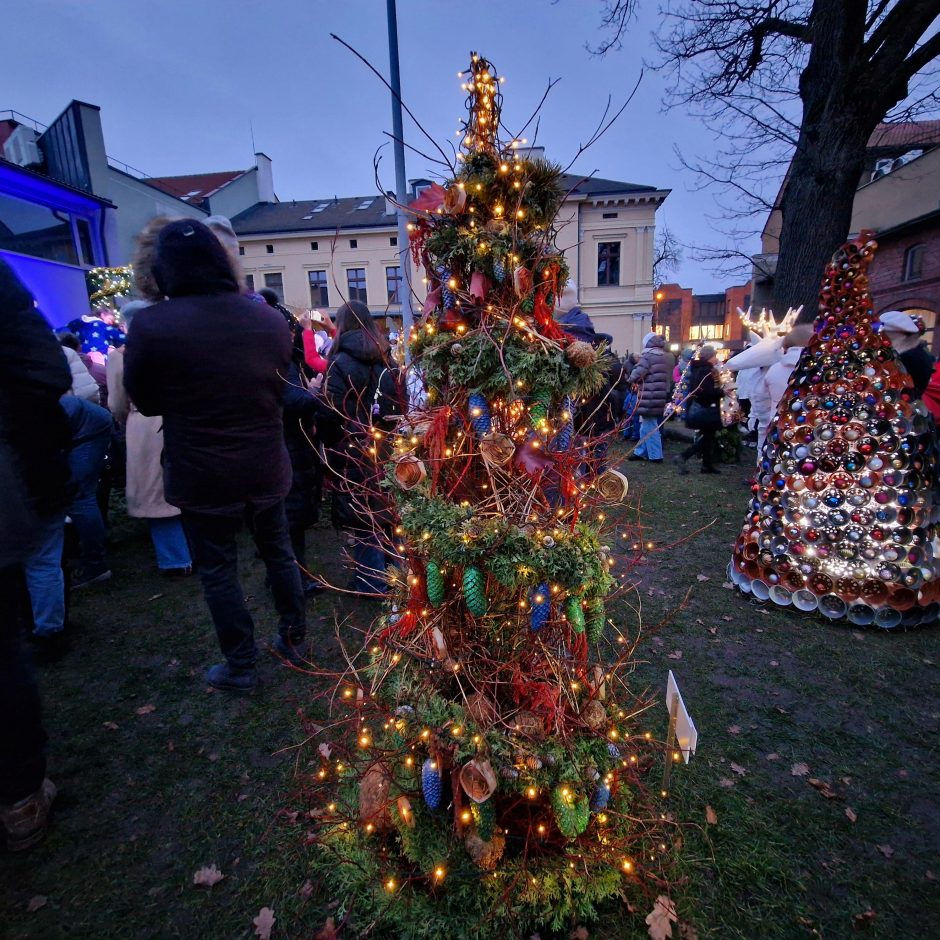 Saulės laikrodžio kiemelyje įžiebta pusšimtis eglučių