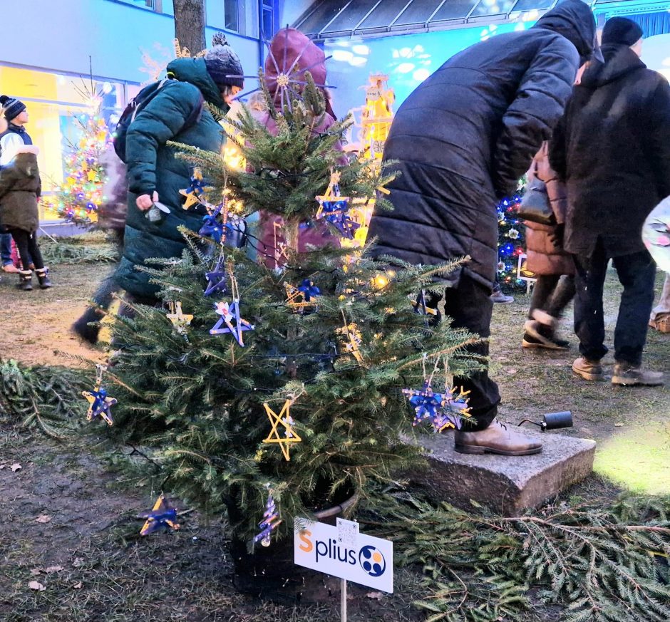 Saulės laikrodžio kiemelyje įžiebta pusšimtis eglučių