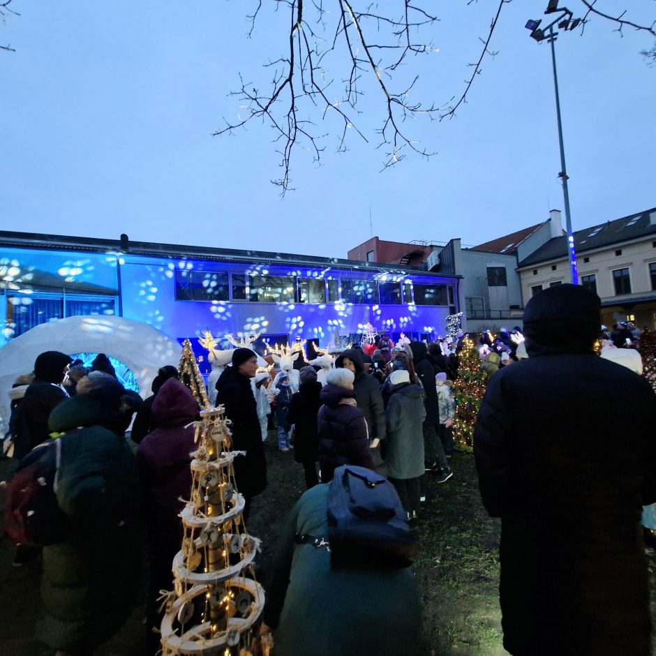 Saulės laikrodžio kiemelyje įžiebta pusšimtis eglučių