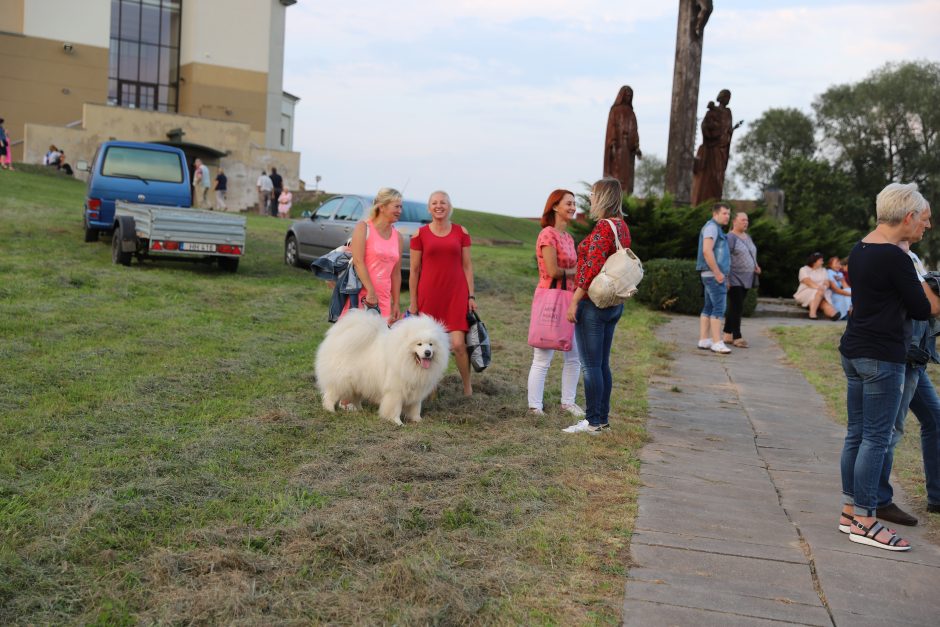 Domeikavoje laiką skaičiuos saulės laikrodis