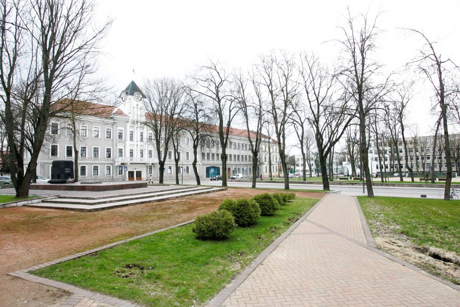 Šiaulių vicemere siūloma skirti tarybos narę S. Potelienę