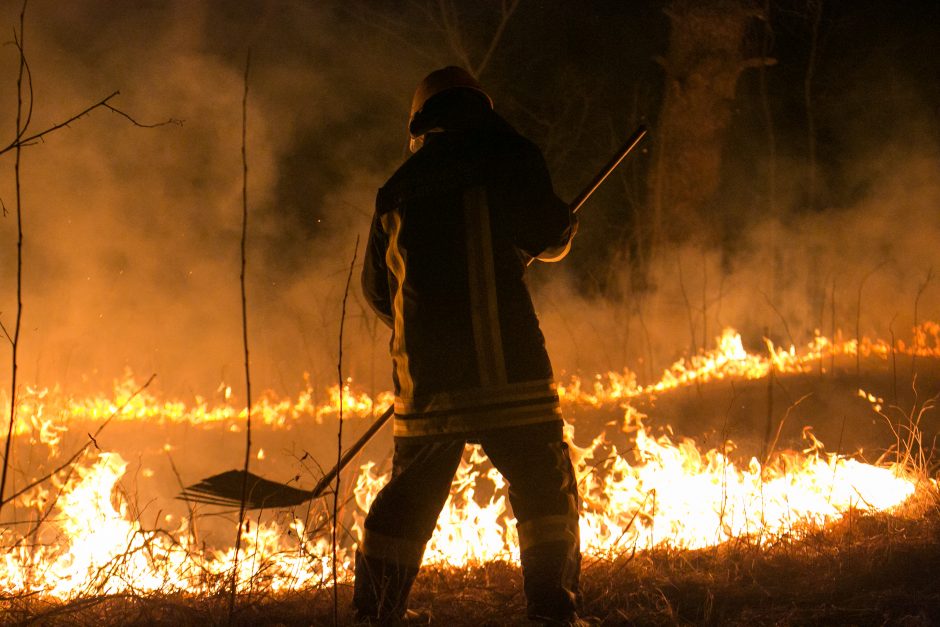 Kauno rajone per gaisrą išdegė 2,5 hektaro teritorijos