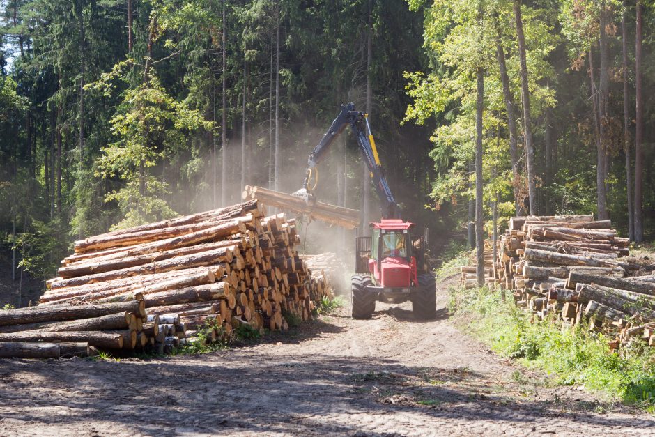 Rekordinės urėdijos grąžos valstybei aplinkosaugininkai nesureikšmina