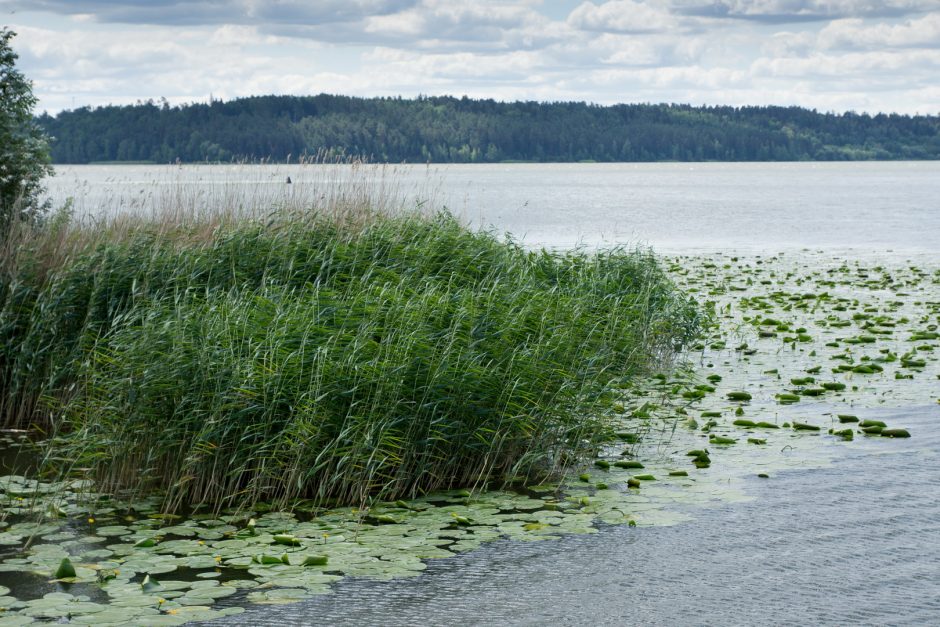 Kauno marių 60-metis: pagerbti vandens užlieti kaimai