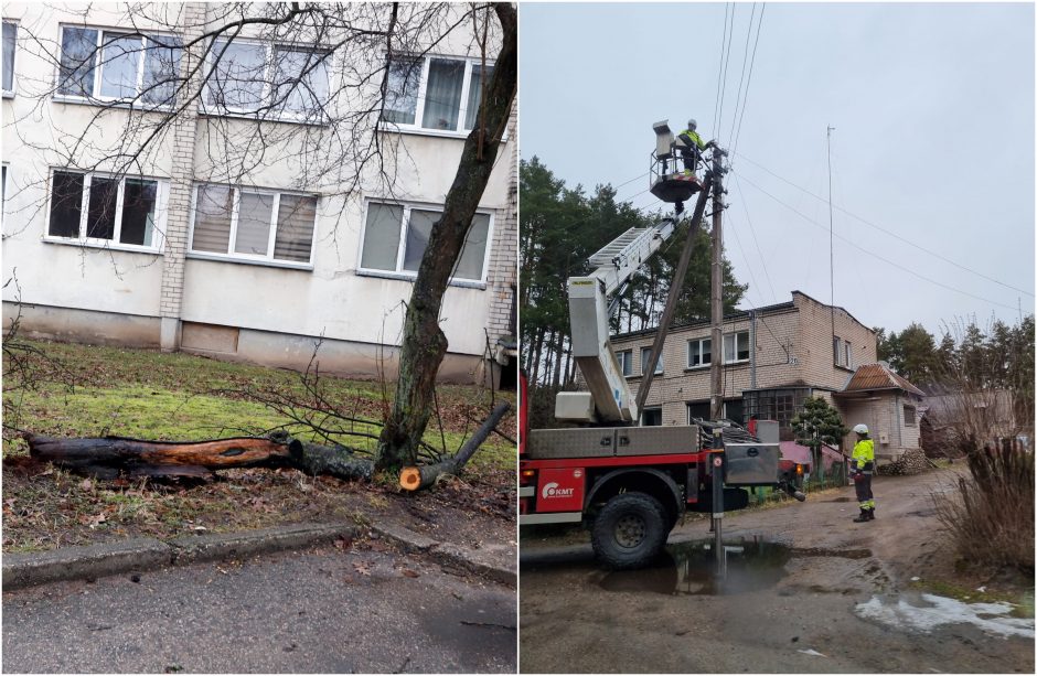 Stipraus vėjo padariniai Kaune: dalis Romainių liko be elektros, virto medžiai, nuplėšta stogo danga