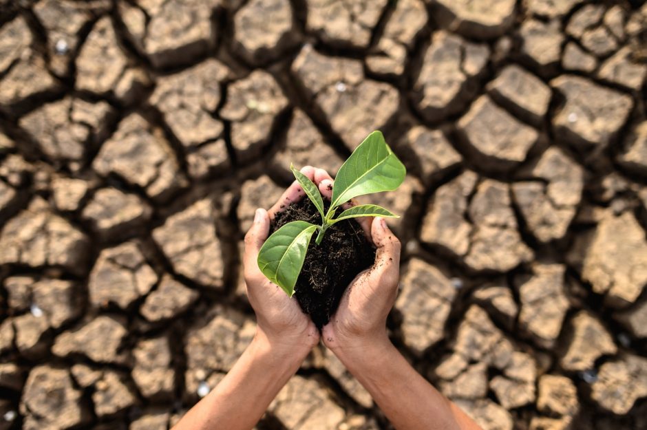 Klimato atšilimą reikia skatinti?