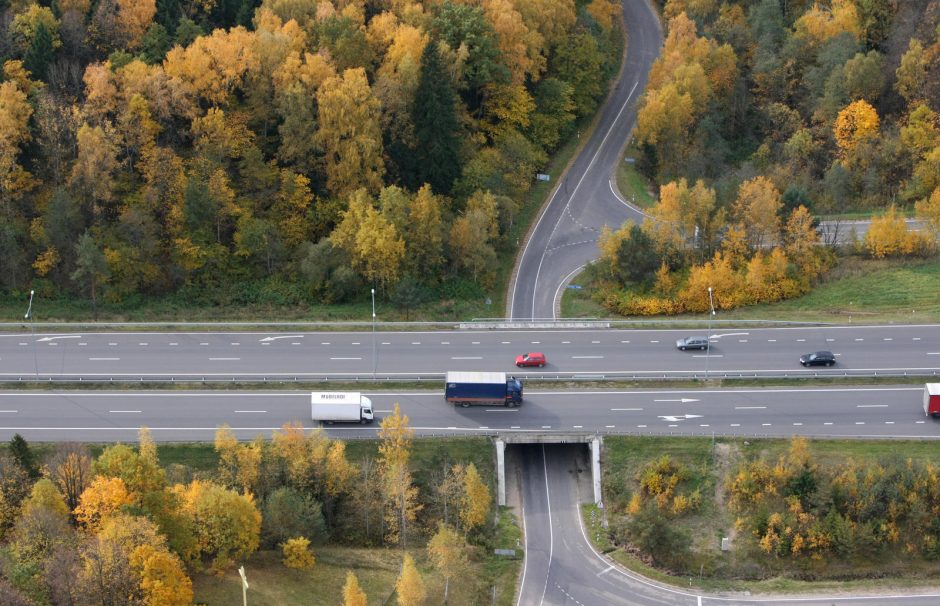 Vėlinių laikotarpiu didėja masinių avarijų tikimybė