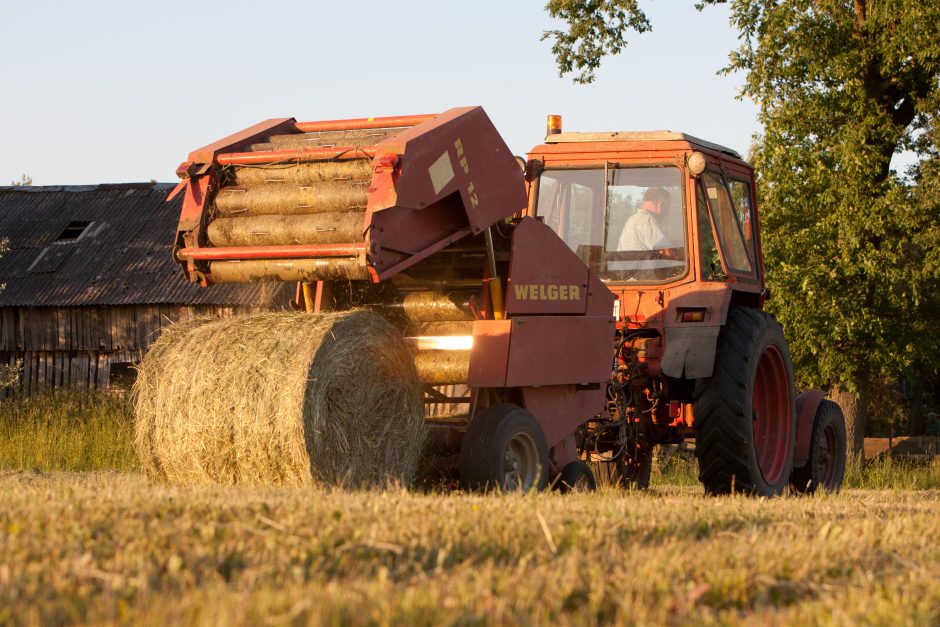 Aukso gyslą užčiuopė ir žemės ūkio klerkai