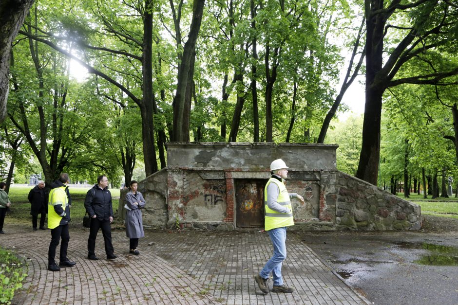 Skulptūrų parkas neliks be medžių