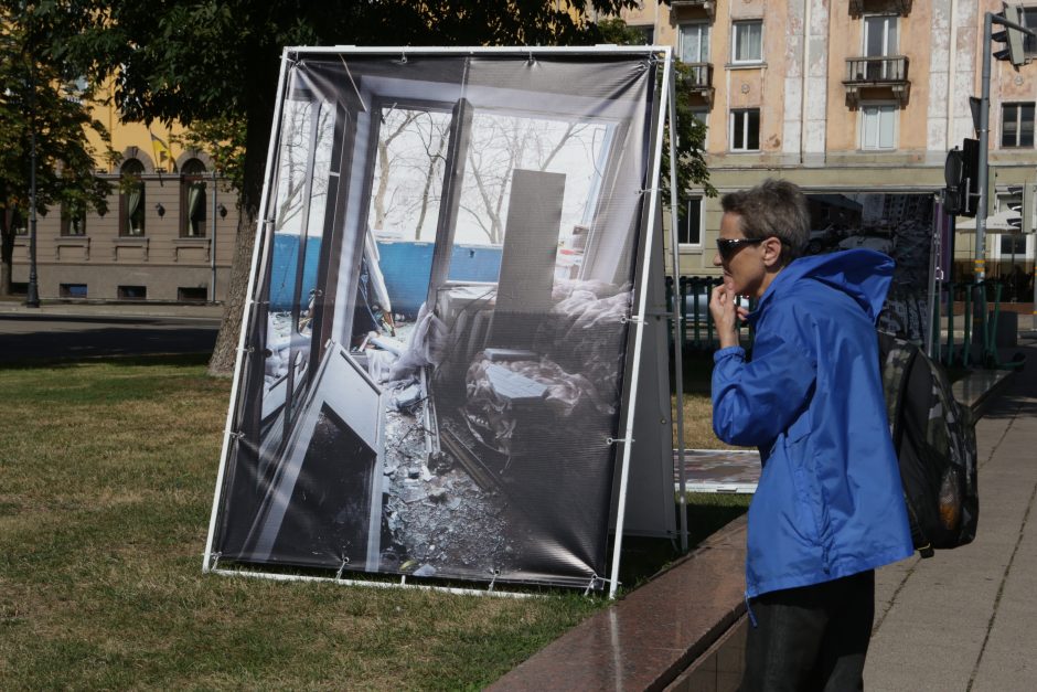 Paroda Atgimimo aikštėje pripažinta politine reklama