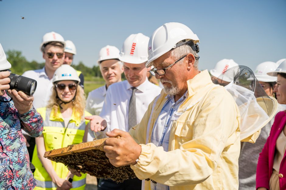 Verslo miestelio „Urban HUB“ statybų pradžią paskelbė įkurdinta bičių bendruomenė