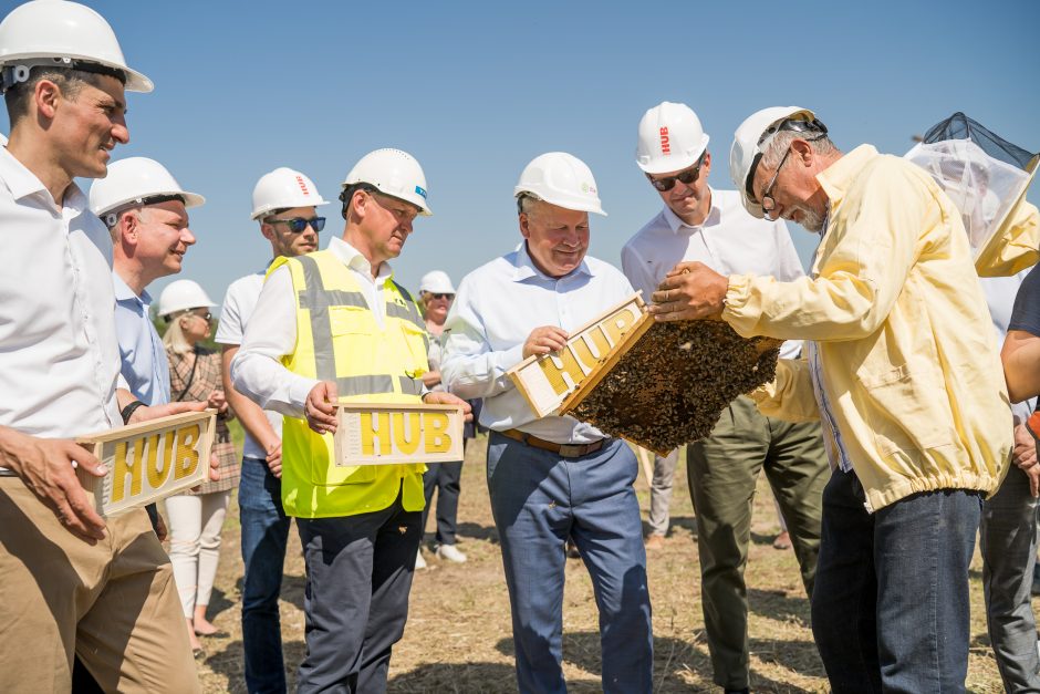 Verslo miestelio „Urban HUB“ statybų pradžią paskelbė įkurdinta bičių bendruomenė