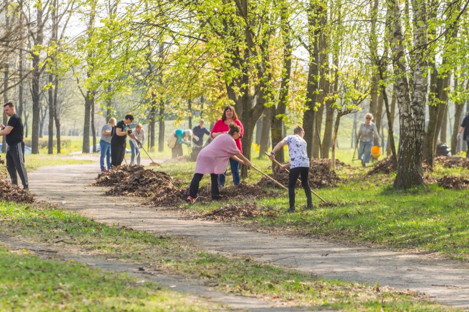 Balandis – be švarinimosi akcijos