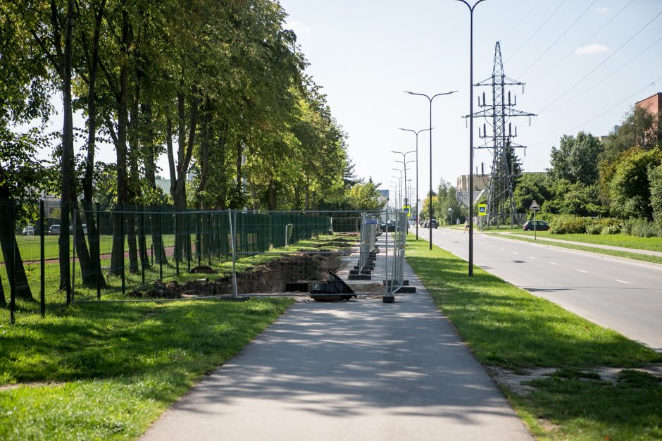 Kaunietis apie darbus Partizanų gatvėje: galva nežino, ką daro uodega