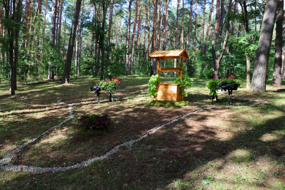 Po metų kurortinė Kulautuva turės mineralinio vandens biuvetę