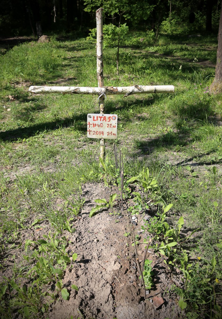 Priešais fotomenininko R. Puišio objektyvą – kalnai, Vorkuta, Linksmakalnis