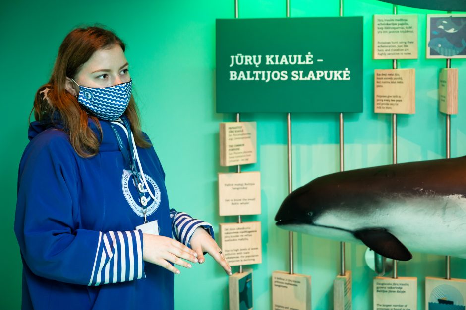 Muziejus pažymi Tarptautinę Baltijos jūros kiaulės dieną