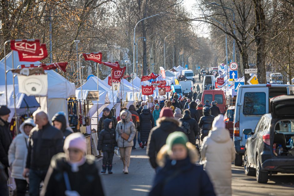 Jau prasidėjo: Palangą dvidešimtąjį kartą užkariauja mažoji žuvelė stinta