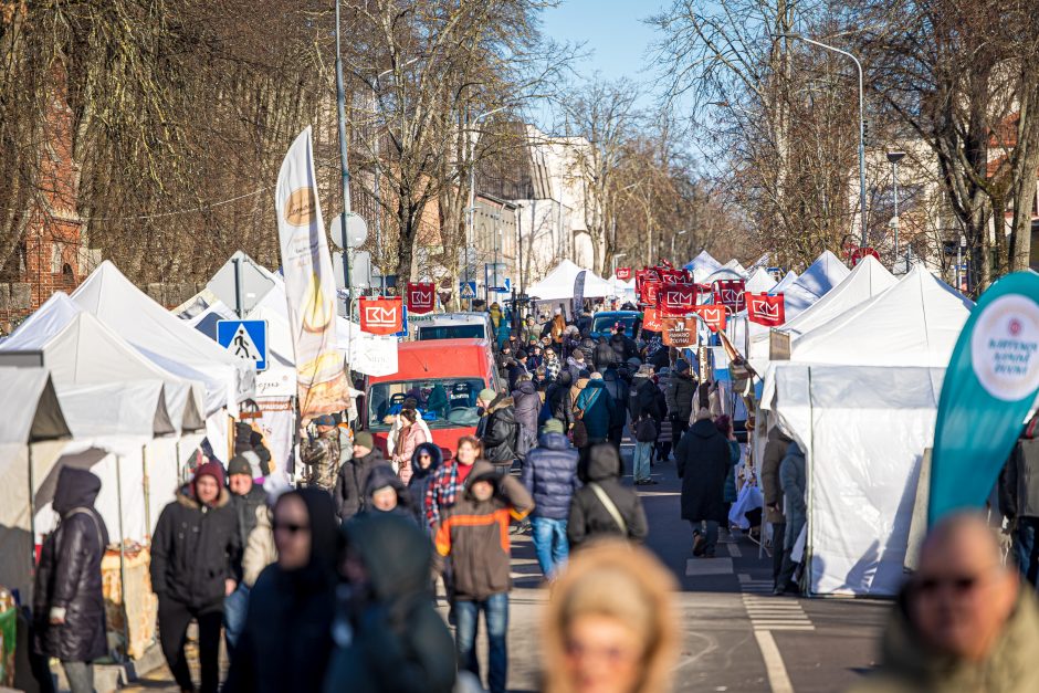 Jau prasidėjo: Palangą dvidešimtąjį kartą užkariauja mažoji žuvelė stinta