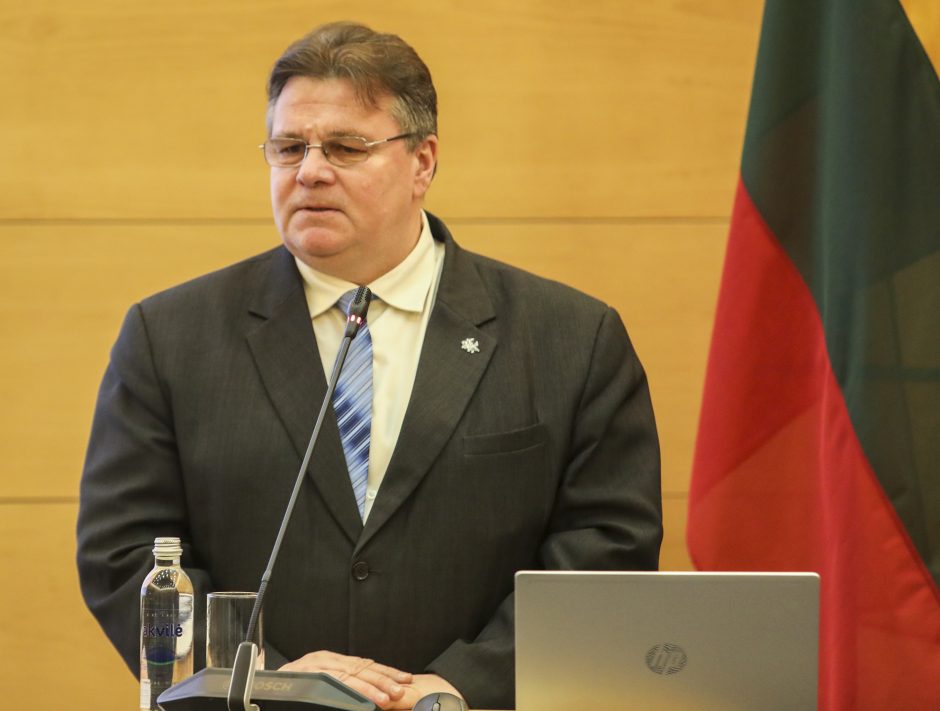 Ministras: JAV sveikina aktyvesnį Lietuvos įsitraukimą į dialogą su Baltarusija