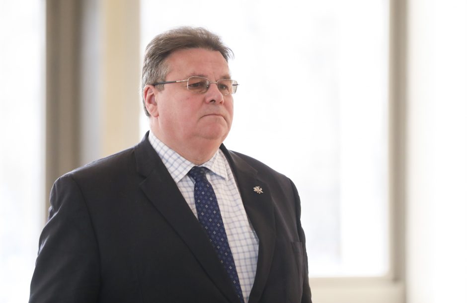 L. Linkevičius ES kolegas ragino padėti vieni kitų piliečiams