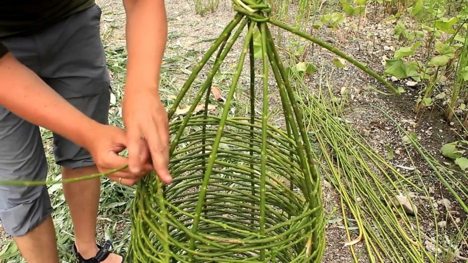 Priešinasi valdžios norui naikinti tradicijas