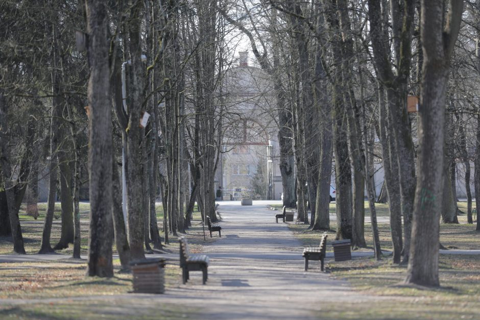 Sapiegų parko architektūriniam konkursui pateiktas vienas projektas