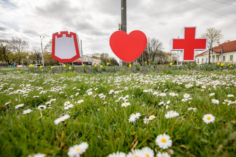 Vilnius sveikina ir palaiko medicinos darbuotojus