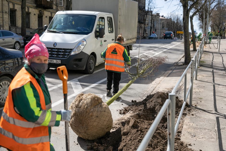 Naugarduko gatvės atgimimas: kokie pokyčiai laukia?