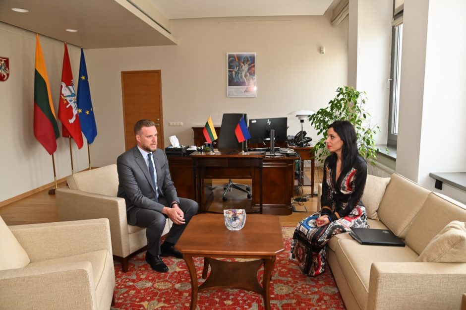 G. Landsbergis su Lichtenšteino kolege aptarė paramą Ukrainai, NATO viršūnių susitikimą