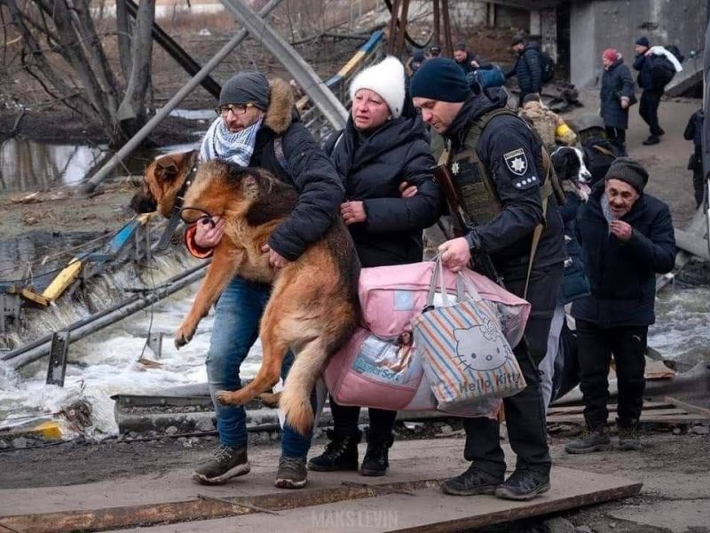 Ukrainoje bus leidžiama pasiimti savo augintinius į slėptuves