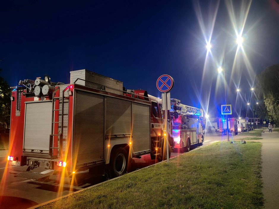 Ugniagesiai skubėjo į Partizanų gatvę šalinti pavojingai nulinkusios medžio šakos