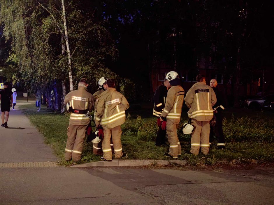 Ugniagesiai skubėjo į Partizanų gatvę šalinti pavojingai nulinkusios medžio šakos