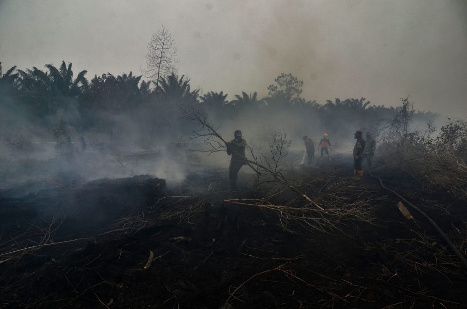 Indonezijoje dėl dūmų atšaukta keliasdešimt skrydžių