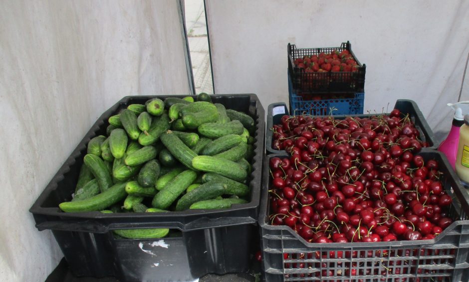 Pasidžiaukite: Kauno turguje atpigo bulvės, trešnės, vyšnios, o ypač – šilauogės