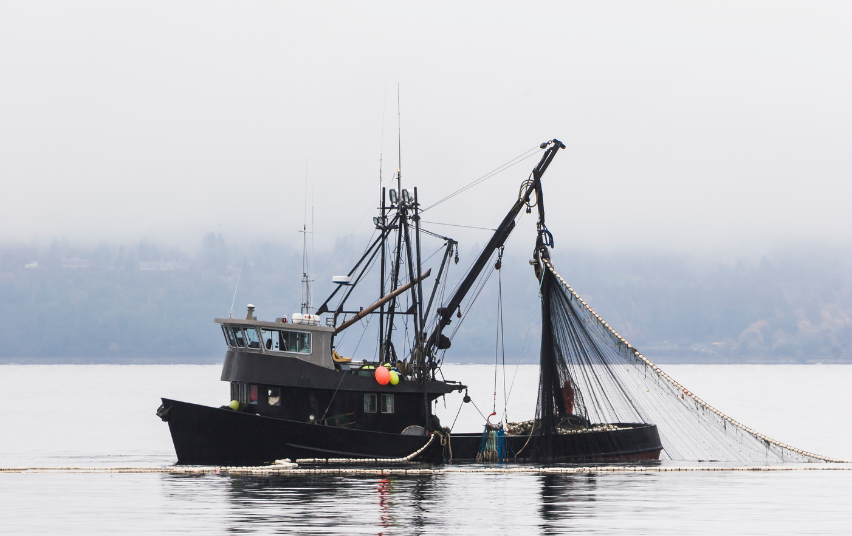 Kuršių mariose nebebus galima naudoti dalies verslinės žvejybos įrankių