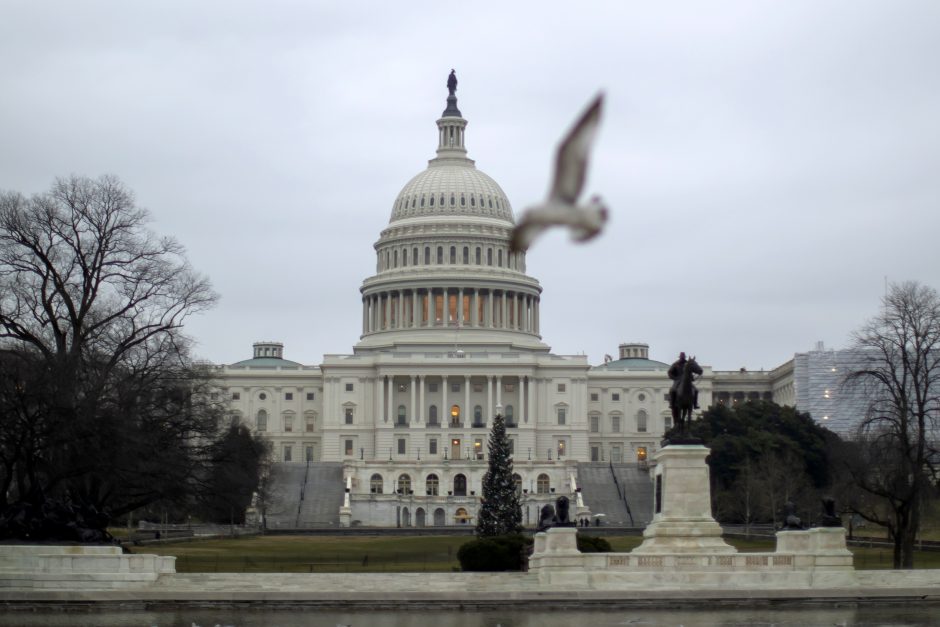 Senatorė E. Warren sieks tapti demokratų kandidate į JAV prezidento postą