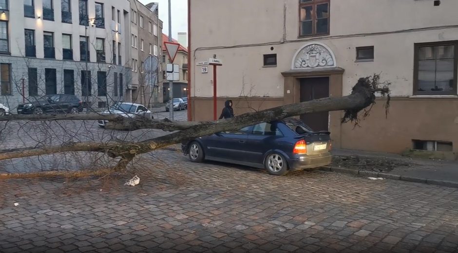 Klaipėdoje virsta medžiai, užtvindytas senamiestis