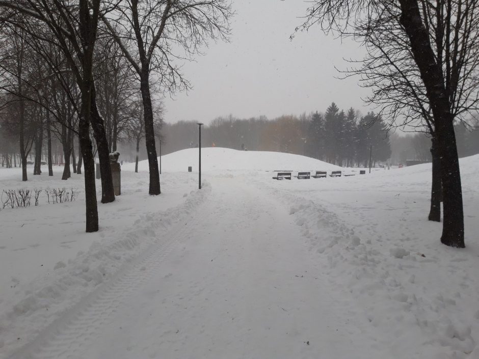 Draugystės parke susižalojo devynerių metų berniukas