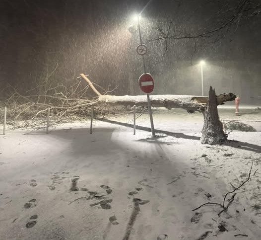 Lietuvoje – audra: gyventojai praneša apie perkūniją su žaibais, pūgą