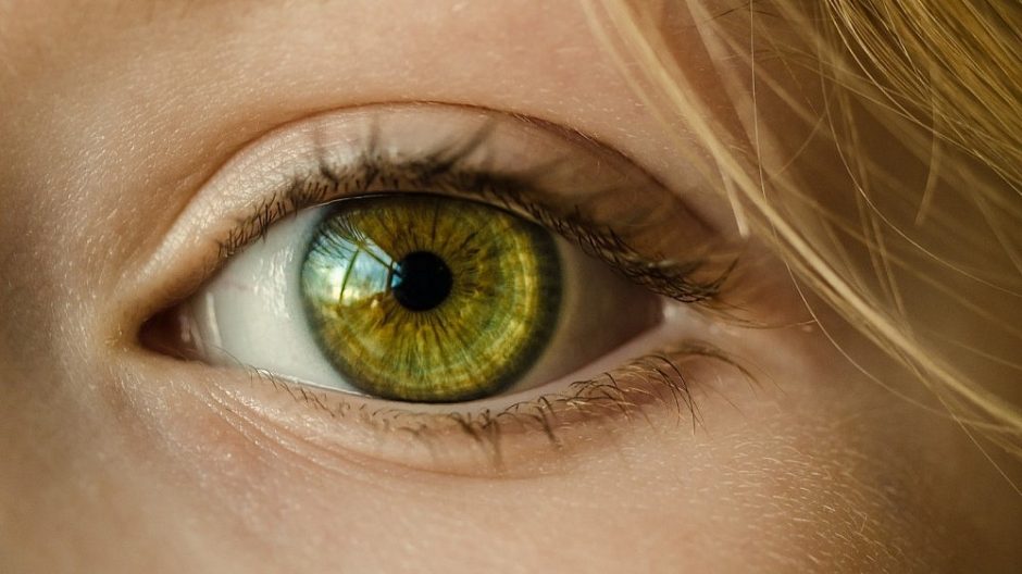 Kaip akių judesių tyrimai padeda kurti patrauklius tinklalapius 
