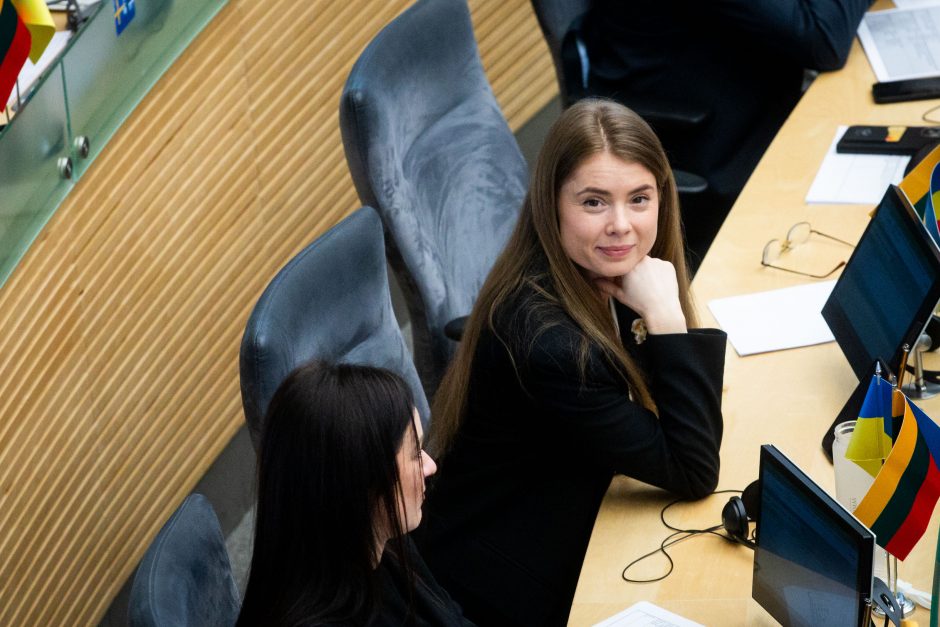 Parlamentarai skeptiškai vertina G. Jakšto planus dėl rusakalbių mokyklų: tai didelė ministro klaida