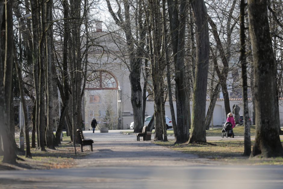 Sapiegų parko atgaivinimui balandžio pabaigoje bus skelbiamas architektūros konkursas