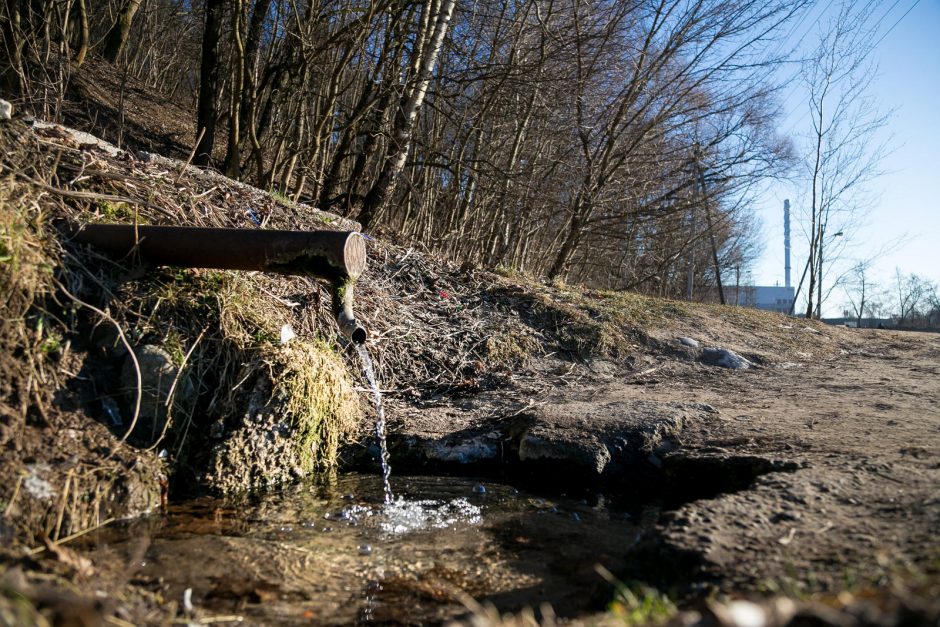 Šančiai – šančiškių akimis