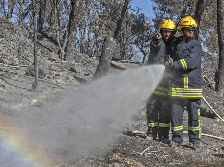 Gaisras Izraelyje numalšintas, sulaikyti penki įtariamieji